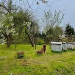 Swierkowe Ranczo Holiday home