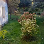 Swierkowe Ranczo * Raciszewo