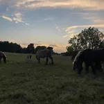 Swierkowe Ranczo Holiday home *