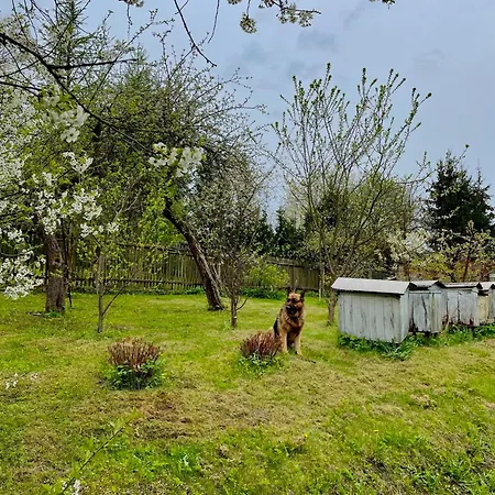 Swierkowe Ranczo Holiday home