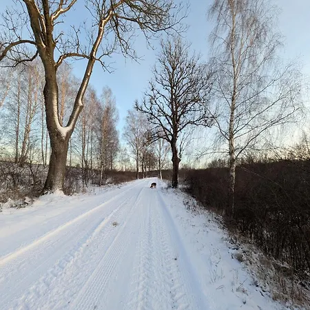 Дом отдыха Swierkowe Ranczo Raciszewo