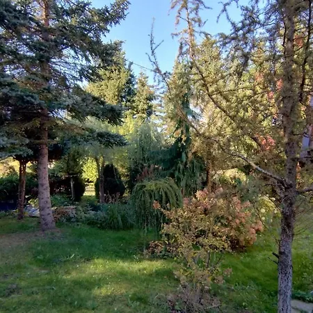 Swierkowe Ranczo * Raciszewo