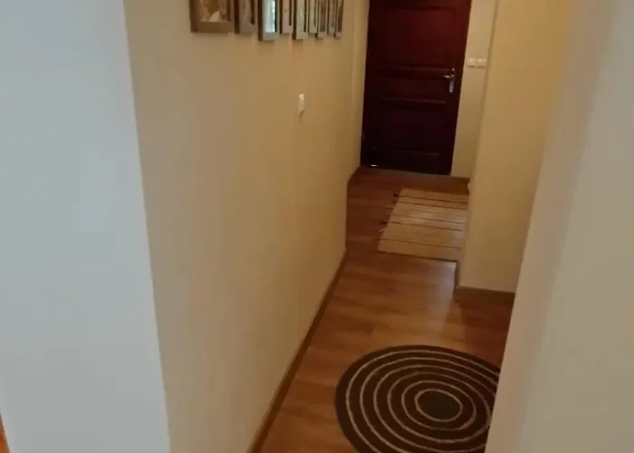 Swierkowe Ranczo Raciszewo