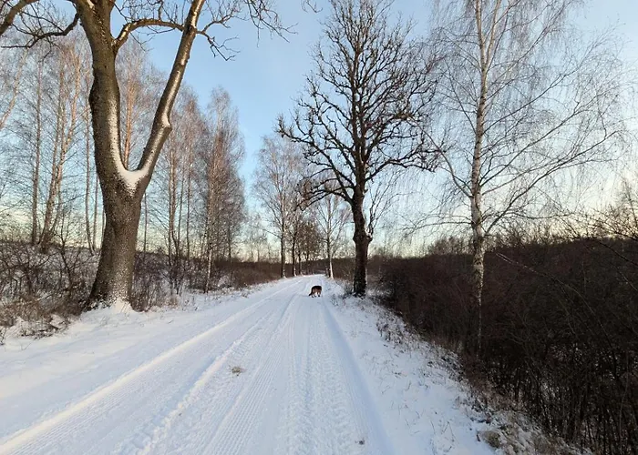 Дом отдыха Swierkowe Ranczo Raciszewo