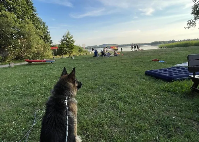 Swierkowe Ranczo Raciszewo