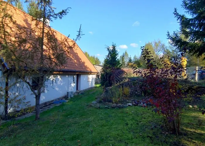 Swierkowe Ranczo Дом отдыха Raciszewo