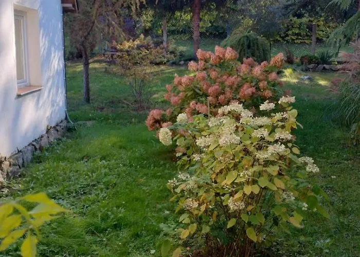 Swierkowe Ranczo * Raciszewo