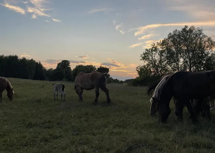 Swierkowe Ranczo Дом отдыха *