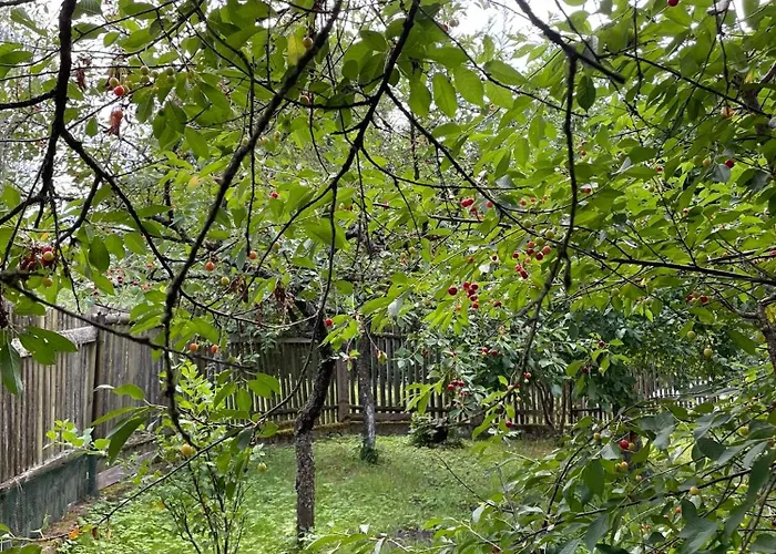 Дом отдыха Swierkowe Ranczo