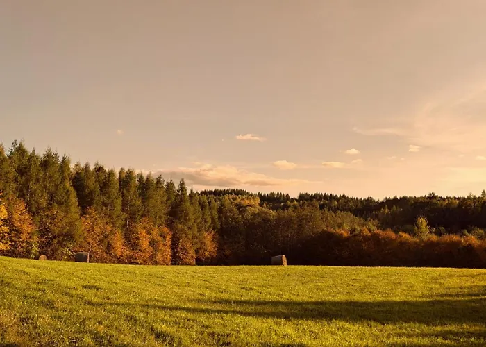 Swierkowe Ranczo * Raciszewo