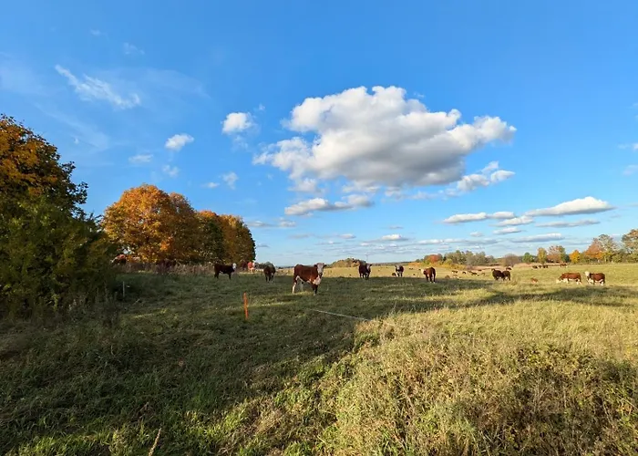 Swierkowe Ranczo Дом отдыха *