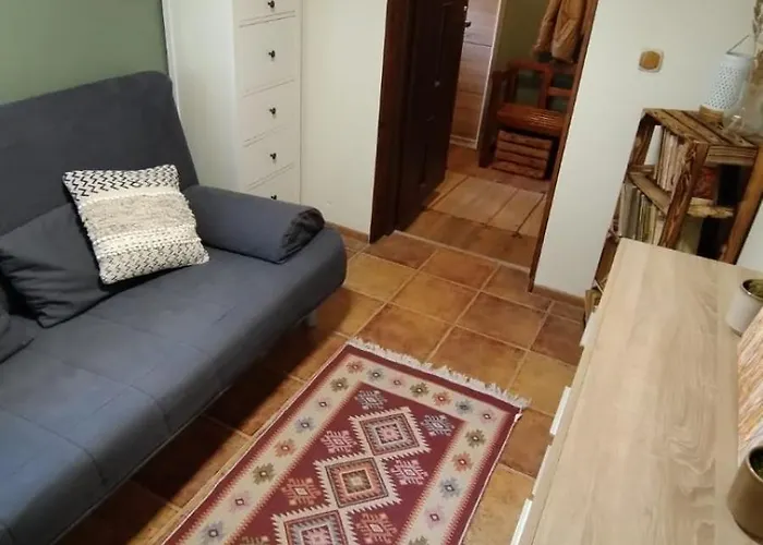 Swierkowe Ranczo Raciszewo