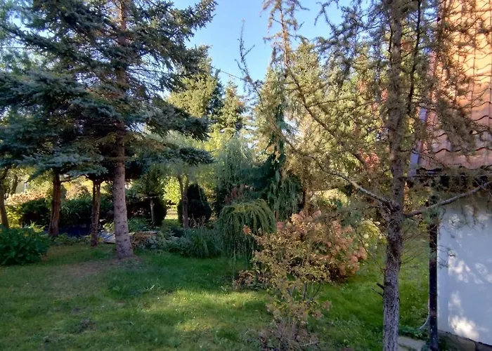 Swierkowe Ranczo * Raciszewo